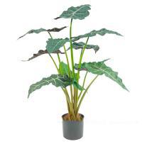 Растение искусственное "Алоказия" в кашпо,11 веток, H67 см