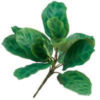 Искусственное растение "Маранта", 31 см
