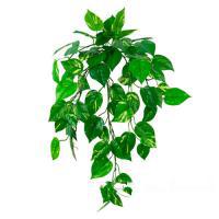 Растение искусственное "Потос Ампельный", 66 листьев, 70 см