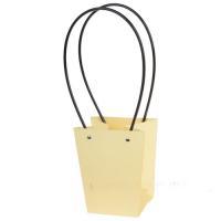 Набор сумок с ламинацией (картон), 13x9,5xH15,5 см (10шт)