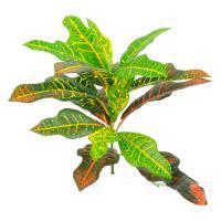 Растение искусственное "Кротон", 19 листьев, H39 см