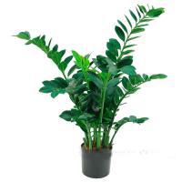 Растение искусственное "Замиокулькас" в кашпо, 12 веток, 260листьев, H110 см