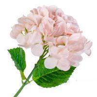 Цветок искусственный "Гортензия", 69 см