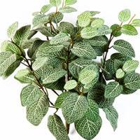 Растение искусственное "Fittonia Bush"