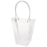 Набор сумок прозрачных (пластик), 24x12xH26 см (10шт)