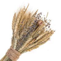 Букет из колосовых культур (пшеница,лаванда,нигелла)