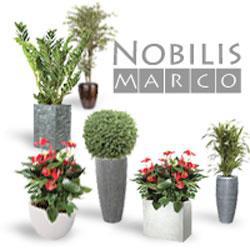 Кашпо Nobilis Marco (Нобилис Марко)- дизайнерские кашпо - ручной работы
